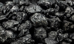 Governments Can Manage Orderly Exit of Coal Plants 11