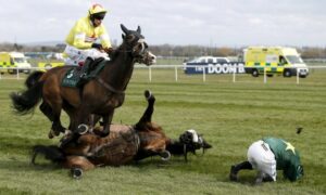 Greens Join Animal Lovers in Saying Nup to the Cup 27