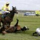 Greens Join Animal Lovers in Saying Nup to the Cup 28