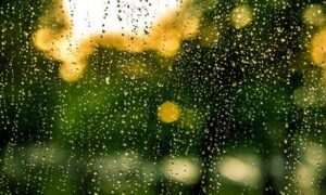 Mindful Water Use Encouraged as Summer Outlook is Released 5