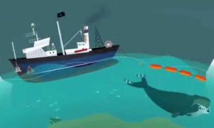 TWS: King Islanders Against Fossil Fuel Expansion 15