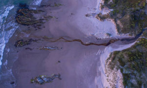 TLC Establishes Eagle Rock Reserve on West Coast 11