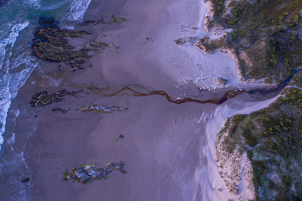 TLC Establishes Eagle Rock Reserve on West Coast 5
