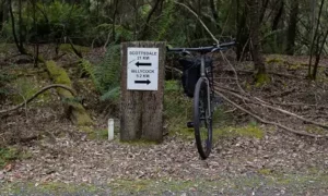 Tribunal Strikes Down Rail Trail Appeal 13