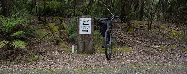 Tribunal Strikes Down Rail Trail Appeal 1