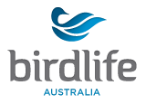 3 More Tasmanian Birds Identified as Threatened 6 3 More Tasmanian Birds Identified as Threatened 6