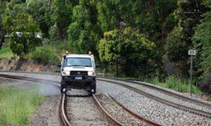 TasRail and Threatened Plant Species 26