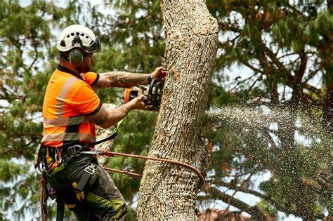 News from Hobart Council Meeting 1