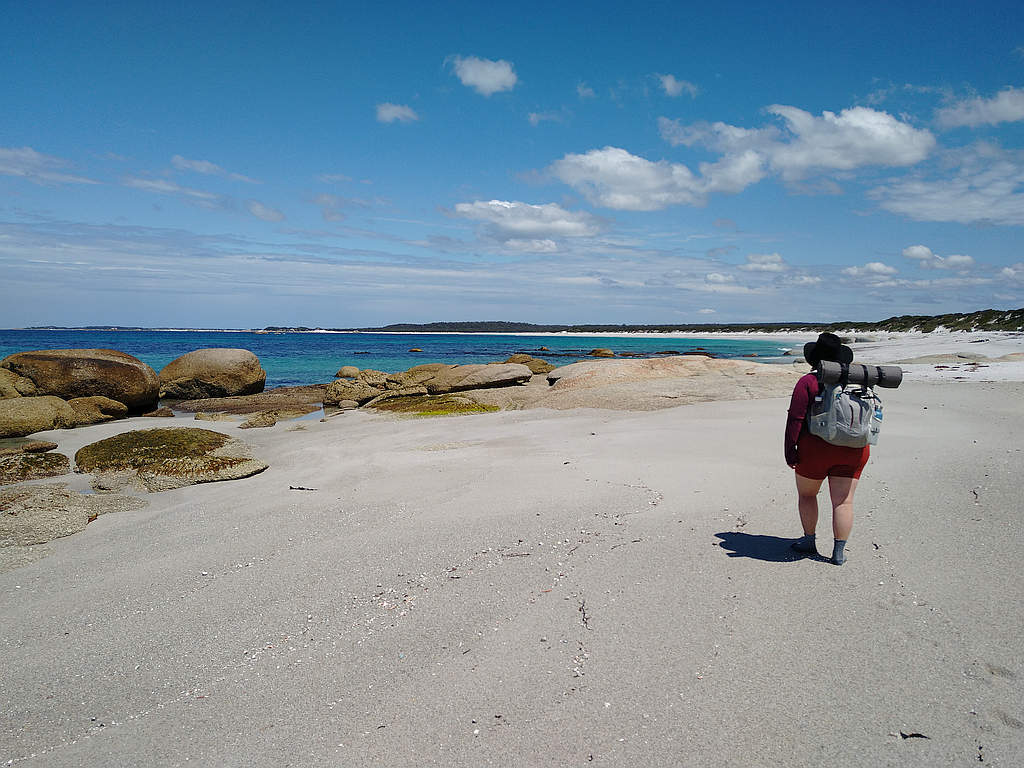 Tread Carefully for Threatened Shorebirds 1