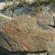 Natural Forces Deemed Cause of Damage to Aboriginal Petroglyph at Sundown Point 6