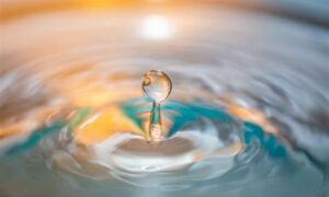 AGM Notice - Water for a Village 12