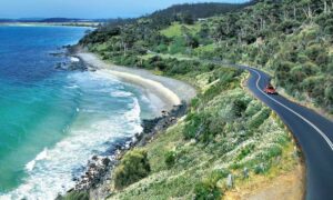 Bass Highway Roadworks 5