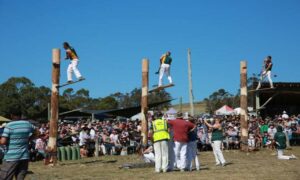 Local Agricultural Shows 24