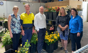 Morrison Pressers in Tasmania 18