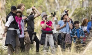Bruny Island Bird Festival 19