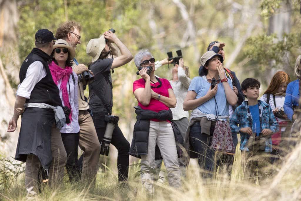Bruny Island Bird Festival 5
