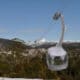 On Cradle Mountain Cableway ... 8