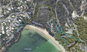 Have Your Say on Freycinet Esplanade to Visitor Centre Shared Use Track Project 18