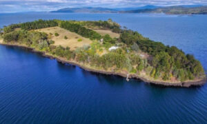 Our Best Friend is an Island ... Huon Island 20