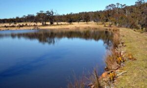 Improved Water Infrastructure for Bicheno, Lake Leake 16