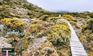 Poll Confirms Australians Want Parks Protected 28