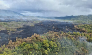 Olegas Bluff Bushfire Update 13