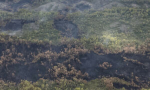 Olegas Bluff Bushfire Downgraded to 'Under Control' 13