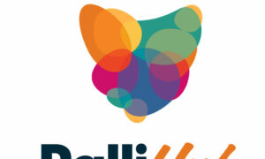 Launch of Digital Hub to Support Palliative Care 29