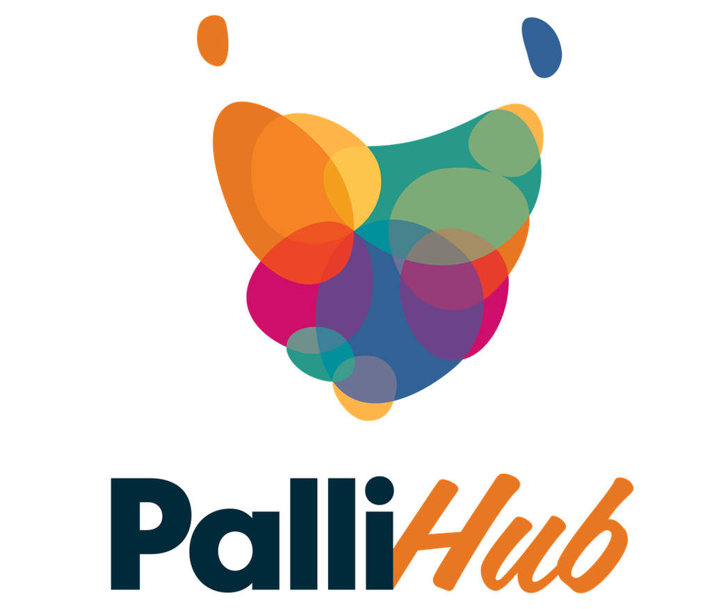 Launch of Digital Hub to Support Palliative Care 1