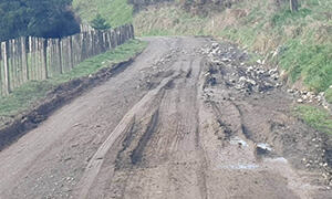 NZ Council to Charge Forestry for Road Damage 9
