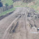 NZ Council to Charge Forestry for Road Damage 10