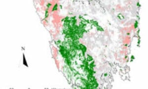 International Spotlight on Tasmania's Forests 11