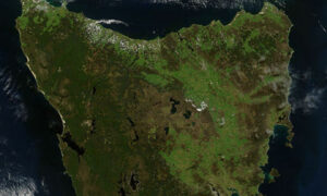 Local Government and Climate Change 23