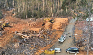 Protesters Return to Wentworth Hills Forests 21