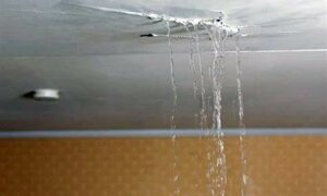 Failure to Investigate Confidential Huon Valley Council Leak 23