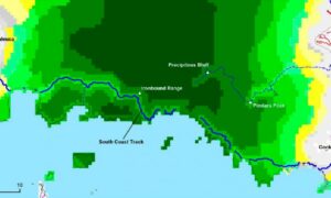 TWS: 'South Coast Track the New Lake Malbena' 21