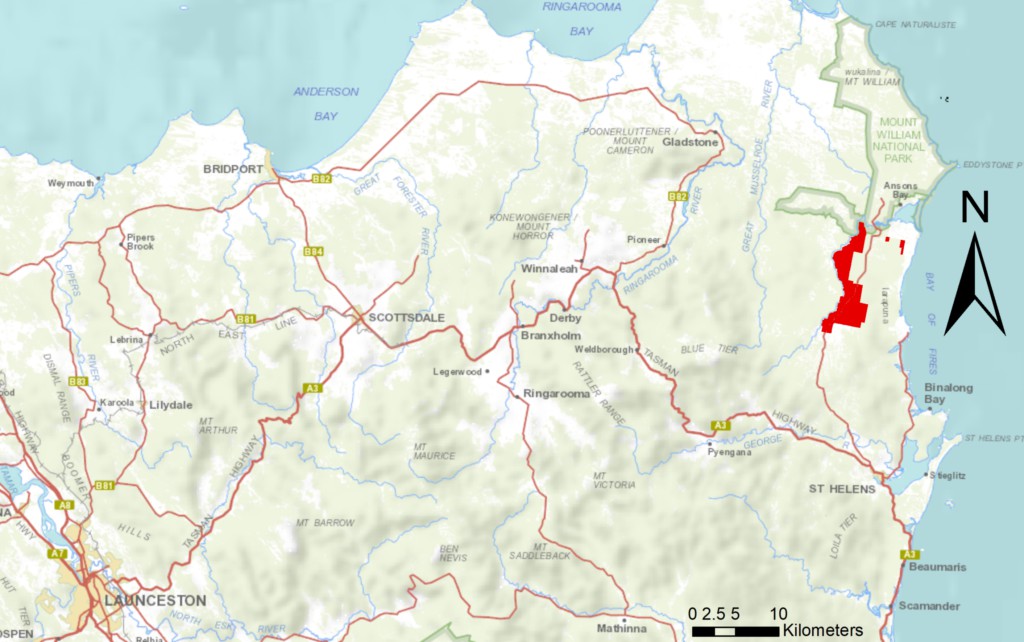 TCT Takes Land Clearing Case to Supreme Court 1