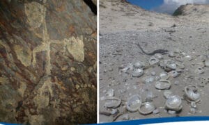 Consultation Paper for New Aboriginal Cultural Heritage Act Released 7