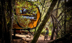 Tasmanian Wins at National Tourism Awards 7