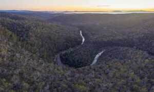 2,300ha of Nature Protected on East Coast 31