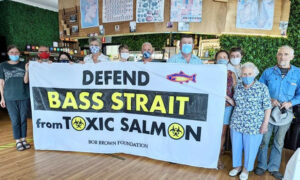 Petition to Stop Expansion of Ocean Salmon Farming in Tasmania 10