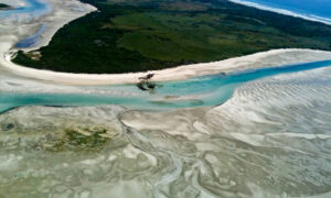 ALCT: Reject Robbins Is Wind Farm 21