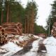 Brown: Morrison Soft on Russian Wood Imports 30