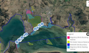 Causeway Alignments Open for Consultation 16