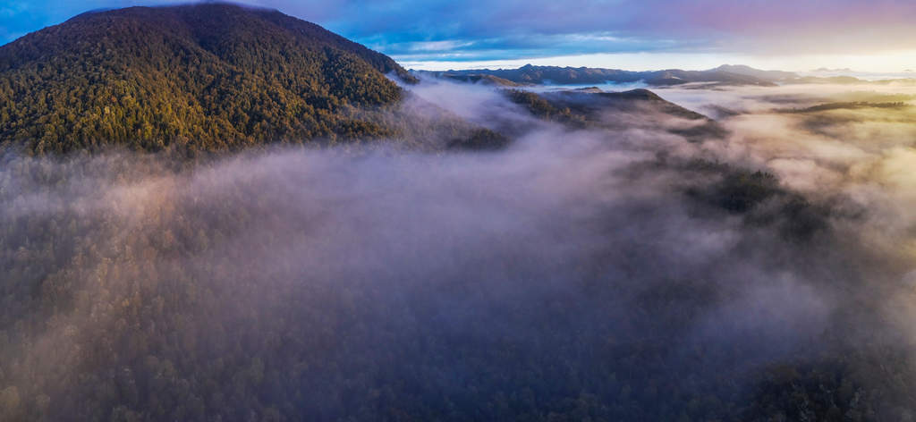 Trove of Huon Pines Located 3