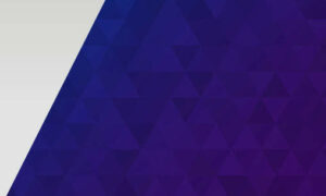 AEC Publishes 'Disinformation Register' 21