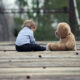 Trust, Privilege and Child Sexual Abuse 28