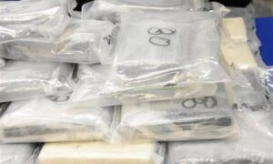 Large Drug Seizure at Glenorchy 23