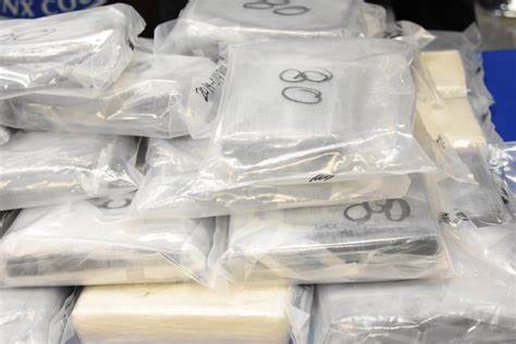 Large Drug Seizure at Glenorchy 1
