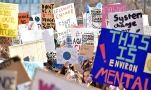 Federal Court Decision Undoes 20 Years of Climate Litigation Process 17